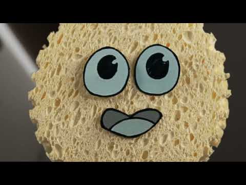 The Secret Life of a Sponge — original project visual